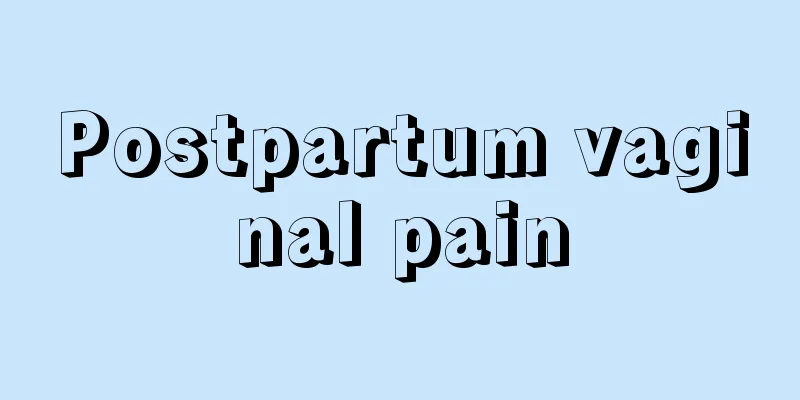 Postpartum vaginal pain