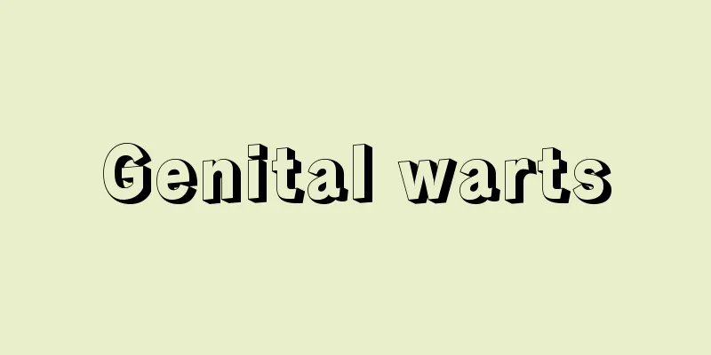 Genital warts