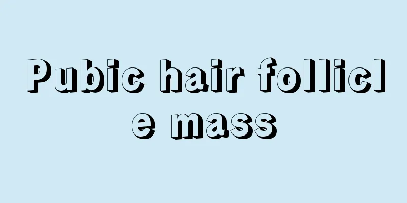 Pubic hair follicle mass