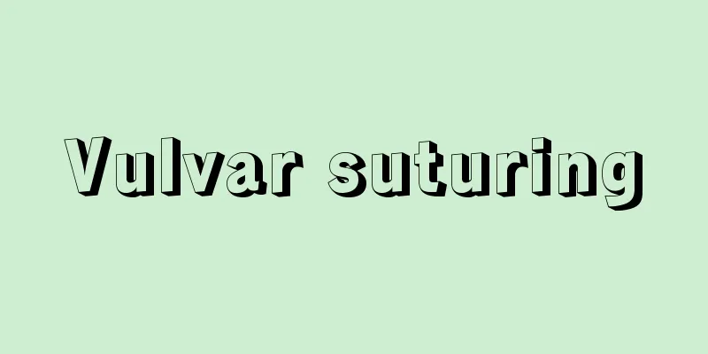 Vulvar suturing