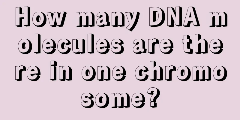 How many DNA molecules are there in one chromosome?