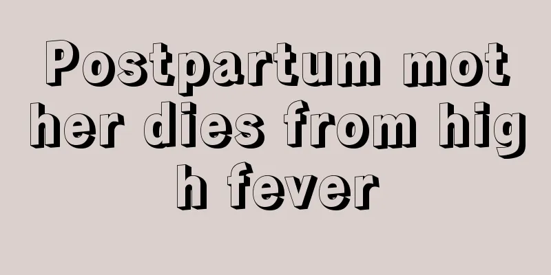 Postpartum mother dies from high fever