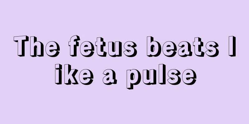 The fetus beats like a pulse