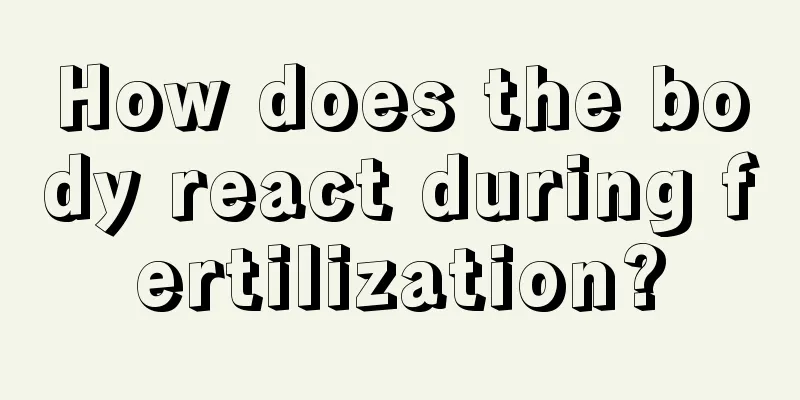 How does the body react during fertilization?