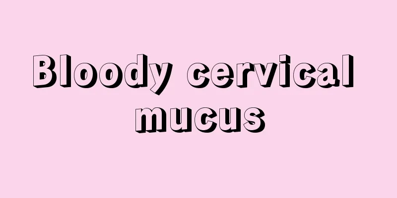 Bloody cervical mucus