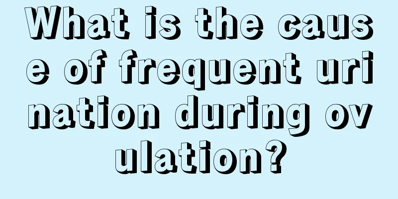 What is the cause of frequent urination during ovulation?