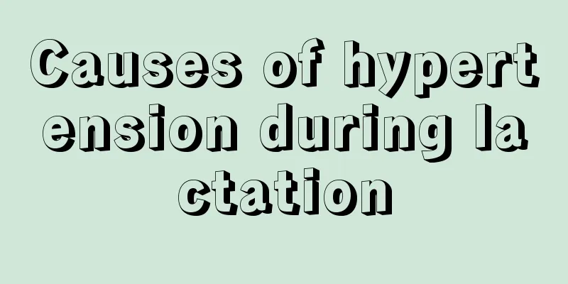 Causes of hypertension during lactation