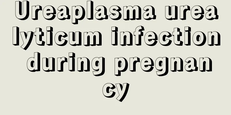 Ureaplasma urealyticum infection during pregnancy