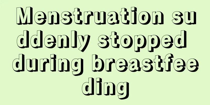 Menstruation suddenly stopped during breastfeeding