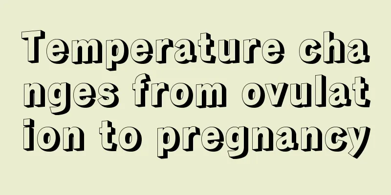 Temperature changes from ovulation to pregnancy