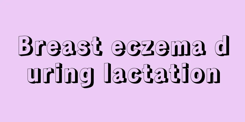 Breast eczema during lactation