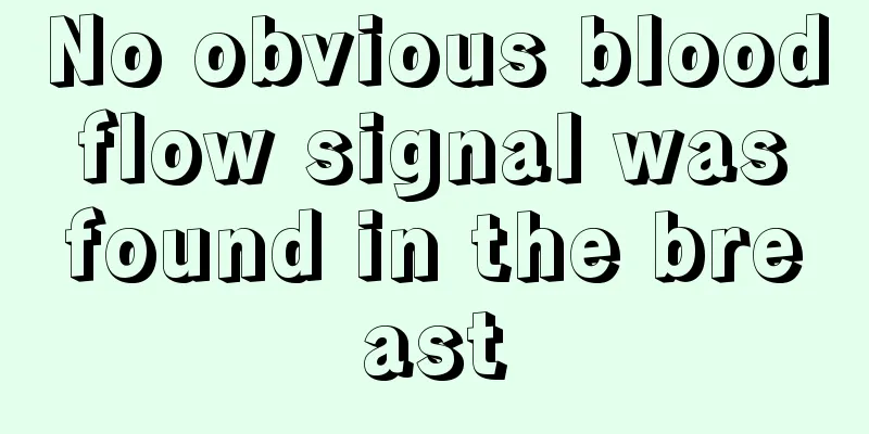 No obvious blood flow signal was found in the breast