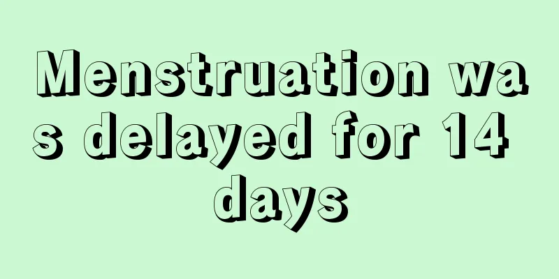 Menstruation was delayed for 14 days