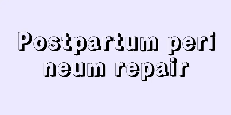 Postpartum perineum repair