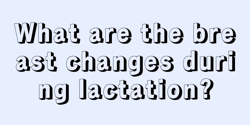 What are the breast changes during lactation?