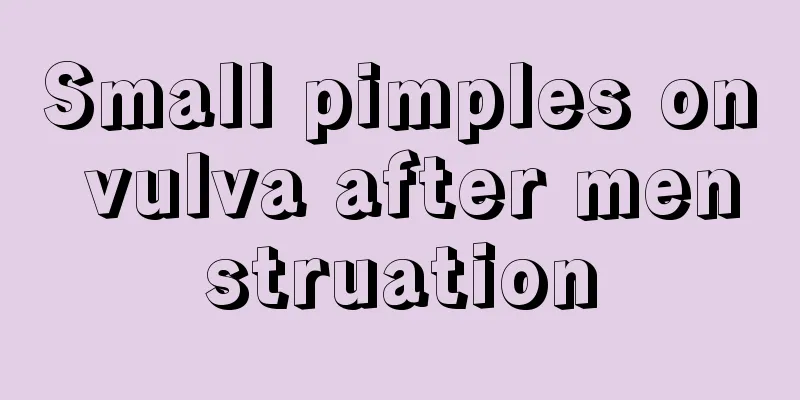 Small pimples on vulva after menstruation