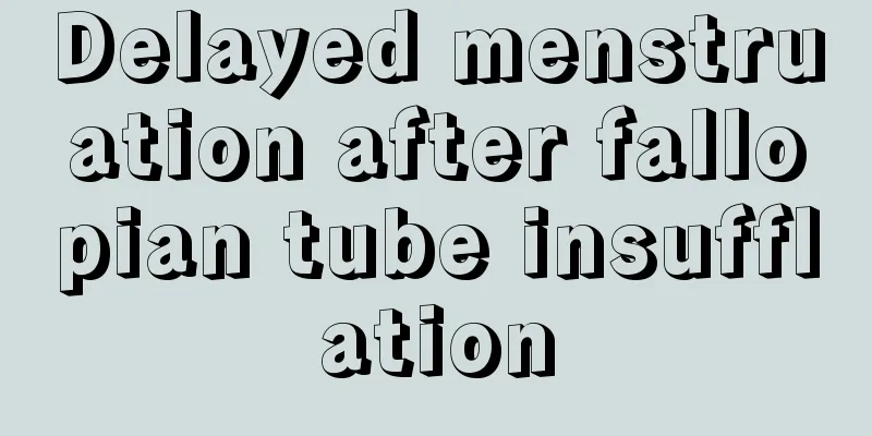 Delayed menstruation after fallopian tube insufflation