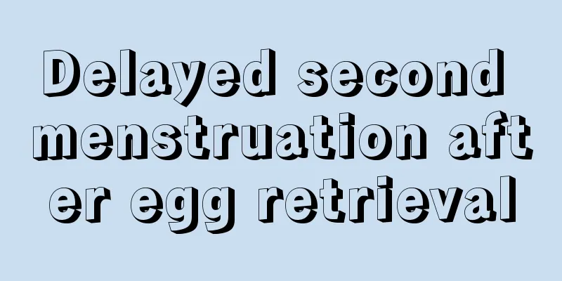 Delayed second menstruation after egg retrieval