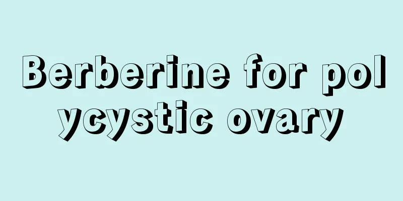 Berberine for polycystic ovary