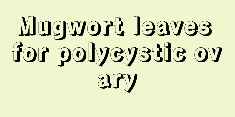 Mugwort leaves for polycystic ovary