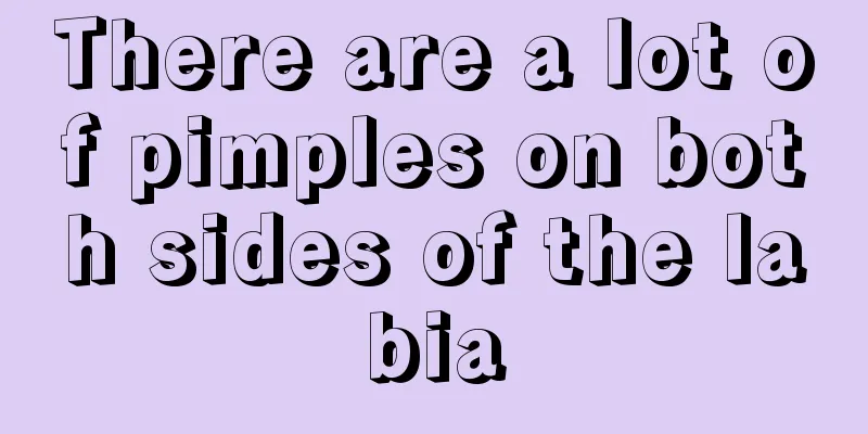 There are a lot of pimples on both sides of the labia