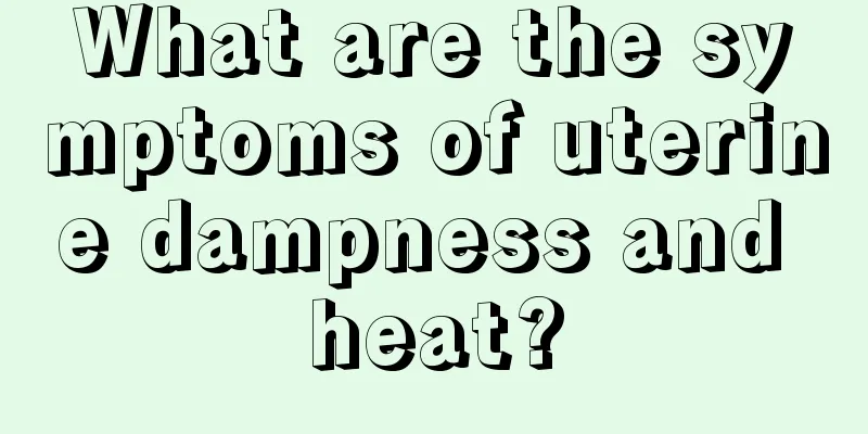 What are the symptoms of uterine dampness and heat?