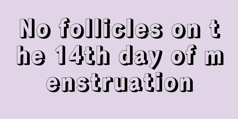 No follicles on the 14th day of menstruation