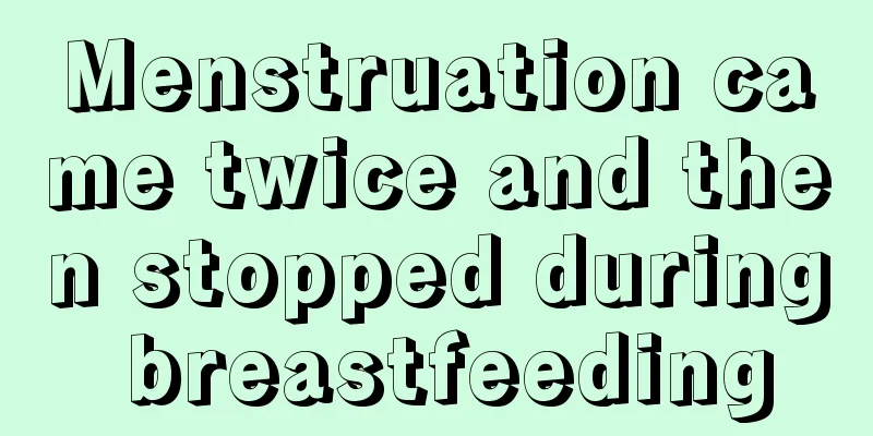 Menstruation came twice and then stopped during breastfeeding