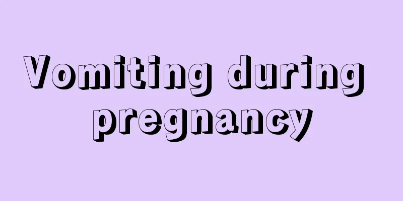 Vomiting during pregnancy