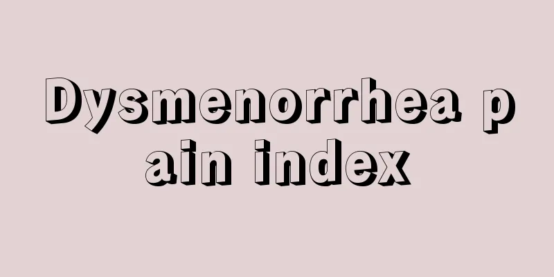 Dysmenorrhea pain index