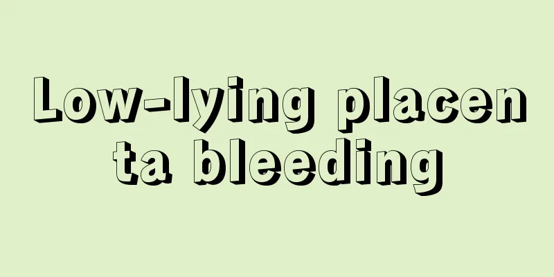 Low-lying placenta bleeding