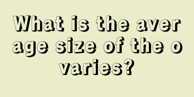 What is the average size of the ovaries?