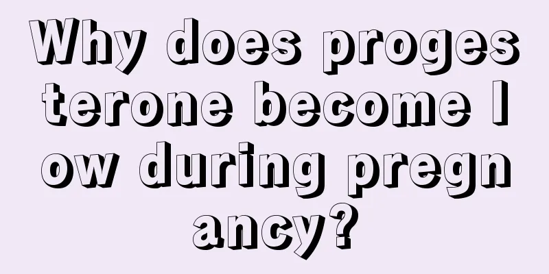 Why does progesterone become low during pregnancy?