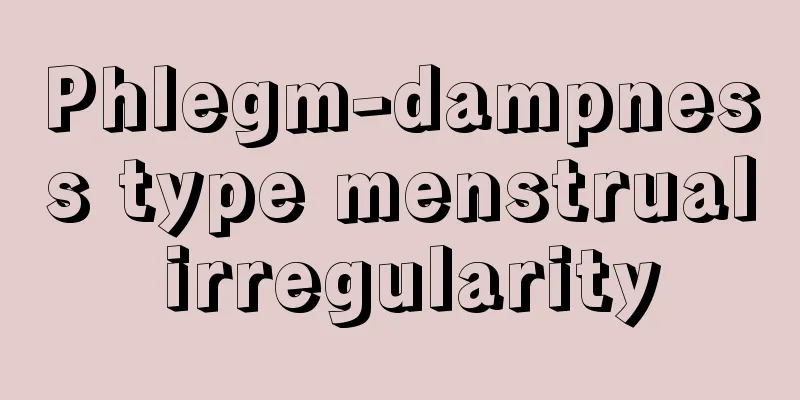 Phlegm-dampness type menstrual irregularity