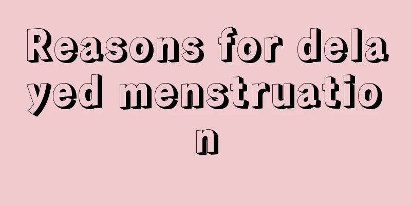 Reasons for delayed menstruation