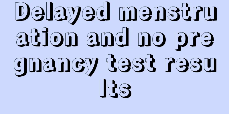 Delayed menstruation and no pregnancy test results