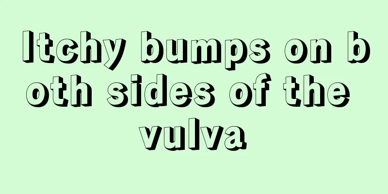 Itchy bumps on both sides of the vulva