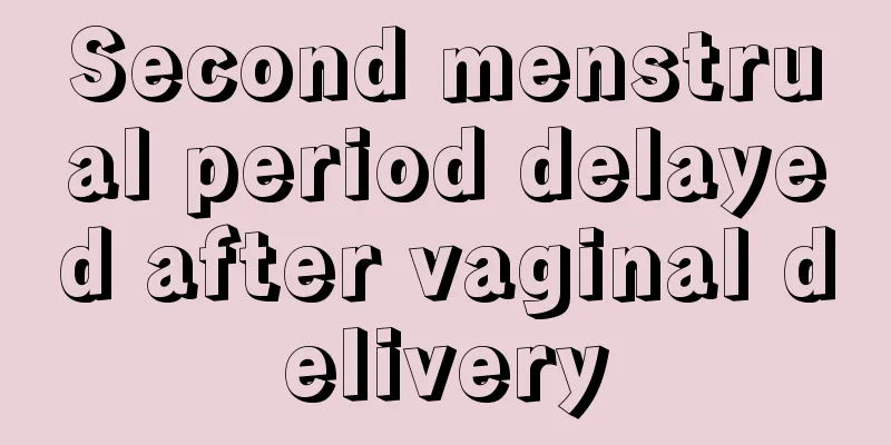 Second menstrual period delayed after vaginal delivery