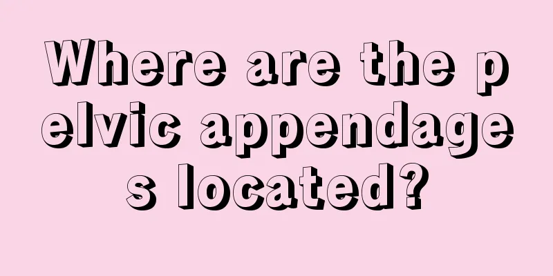 Where are the pelvic appendages located?