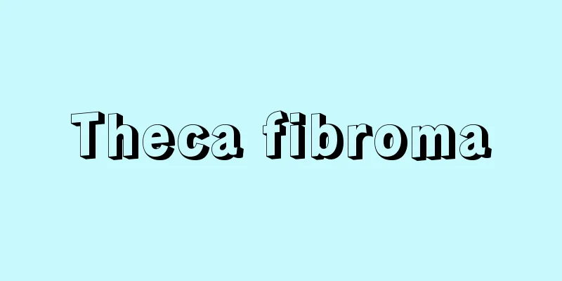 Theca fibroma