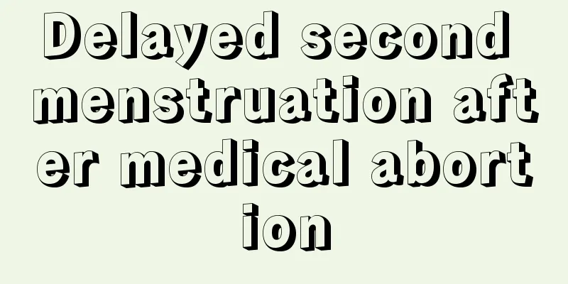 Delayed second menstruation after medical abortion