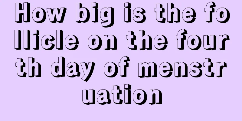 How big is the follicle on the fourth day of menstruation