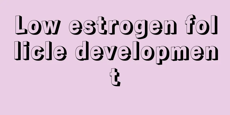 Low estrogen follicle development