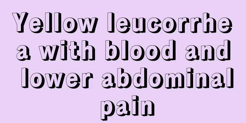 Yellow leucorrhea with blood and lower abdominal pain