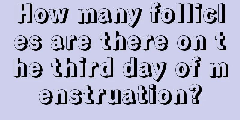 How many follicles are there on the third day of menstruation?