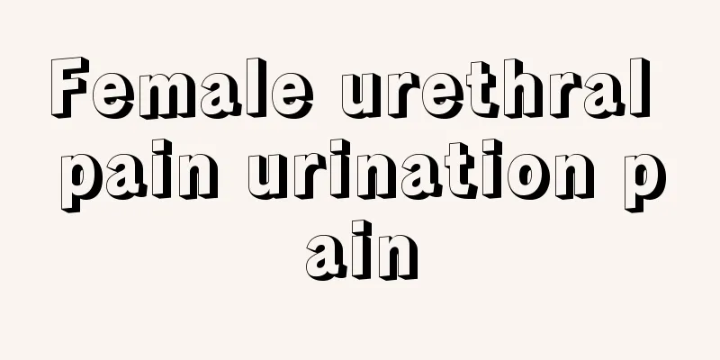 Female urethral pain urination pain