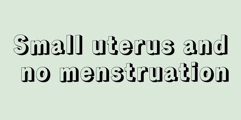 Small uterus and no menstruation