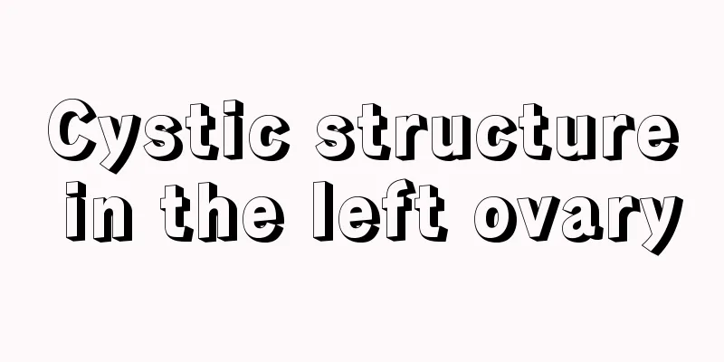 Cystic structure in the left ovary