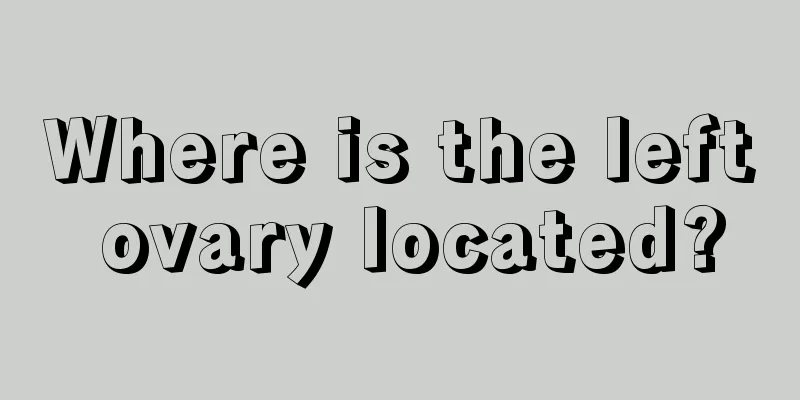 Where is the left ovary located?