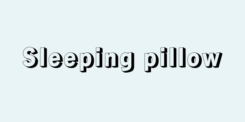 Sleeping pillow